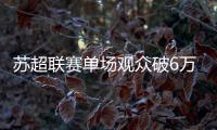 苏超联赛单场观众破6万创纪录，足球概念股集体大涨共创草坪涨停