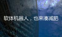 软体机器人，也来凑减肥药的热闹了