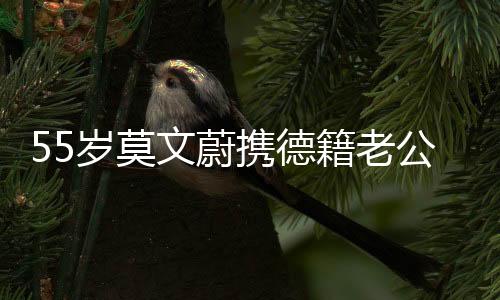 岁莫我刷到照片那天