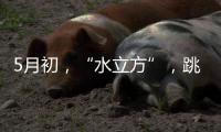 5月初，“水立方”，跳水“梦之队”全主力出击
！