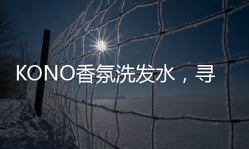 像小仙女一样沁人心脾