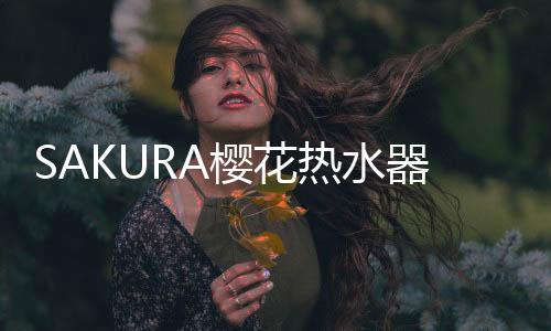 即可进行热水器自检