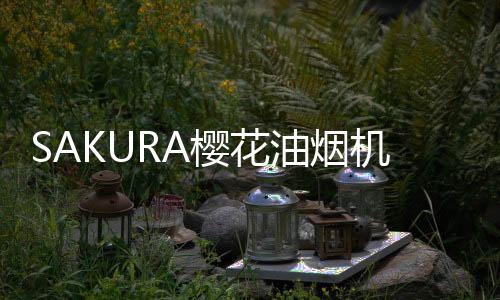 樱花油烟保持厨房清新好空气