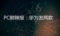 PC鲜辣报
：华为发两款鸿蒙电脑 AMD RX 9060 XT发布