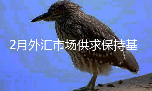 在银行代客涉外收付款方面