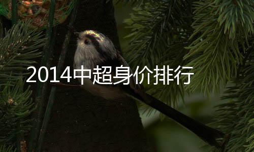较之刚加盟恒大时缩水不少