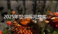 2025年世俱杯完整奖金榜：切尔西1.146亿美元居首，巴黎1.069亿