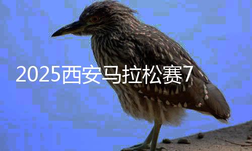 半程马拉松(21.0975KM)12000人