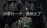 20多斤一个，突然火了！杭州一菜场摊主：没有现货
，隔两天就有人来预订